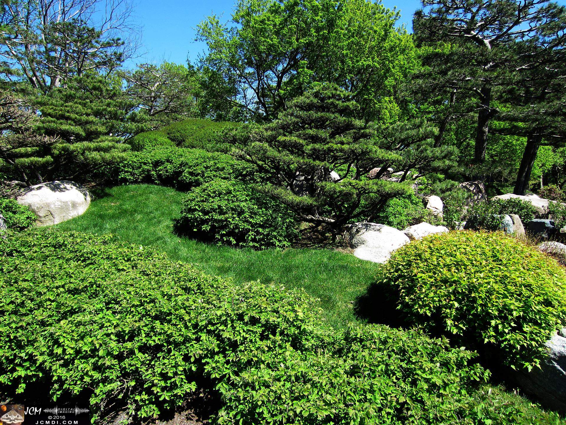 Como Zoo conservatory, MN japanese garden